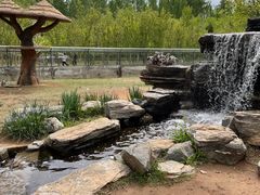 -秦皇岛野生动物园