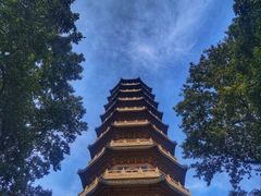 -灵谷景区
