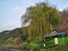 -重庆彩云湖湿地公园