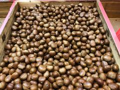 -阿男野栗王(金门路店)