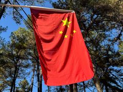 -小小饭店·休闲农庄·安吉松树林里的农家菜