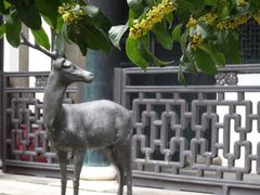 -浙江省博物馆(孤山馆区)