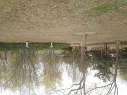 -大望京儿童游乐场