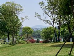 -羊山湖公园