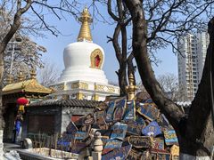 -护国法轮寺