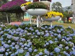 -东南花都花博园