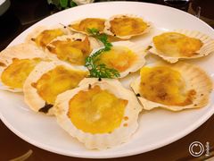 -诺莱仕游艇会