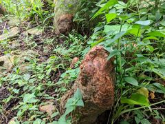 -人民公园(罗湖区)