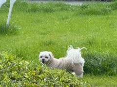 -狗舍宠物医院(四季商业广场店)