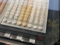 -BLACKSWAN黑天鹅(环球店)