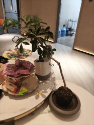 -丽都整形美容医院·全国连锁旗舰店