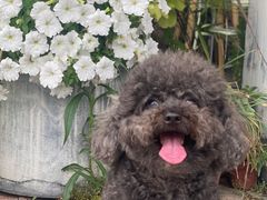 -HAPPEN(江川东路店)