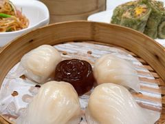 稻香虾饺（精点〉-稻香酒家·35年老字号(侨光店)