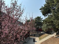 -沈阳辉山风景区