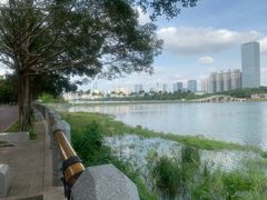 -南宁南湖公园