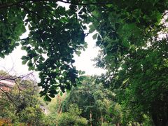 -杭州西湖风景名胜区-三生石