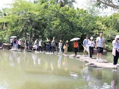 -呀诺达热带雨林