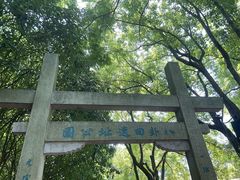 -铭莲·八卦田水上餐厅