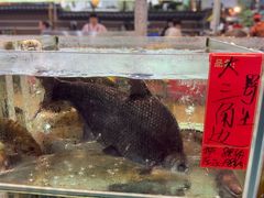 -大笑饭堂(甲子桥店)