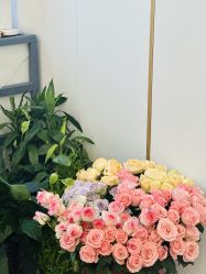 -亚太瑜伽普拉提学院