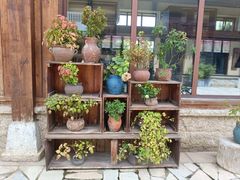 -诗经里