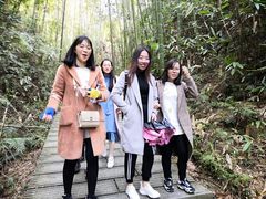 -九龙江国家森林公园