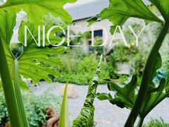 -Jo's Garden