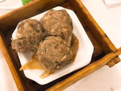 陈皮果香蒸牛肉丸-广州酒家(昌岗地铁站店)