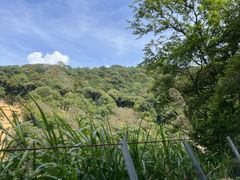 -龙岩森林水乡景区