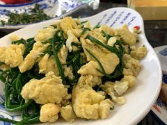 -范记靖远羊羔肉(博物馆店)