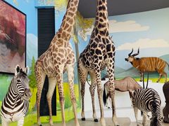 -陕西自然博物馆