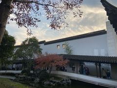 -秋霞圃