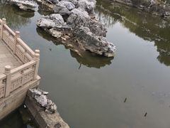 -常熟方塔园