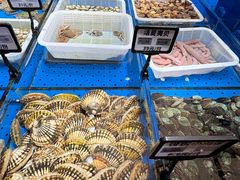 -鲜得莱渔港·小平岛海胆馆(七贤岭店)