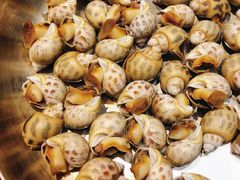 花螺-盒马鲜生(皇庭广场店)