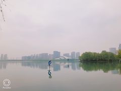 -天鹅湖体育公园