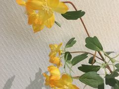 -Dragonfly悠庭·按摩Spa(浦东嘉里城店)