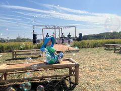 -武汉紫薇都市田园