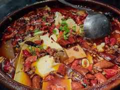 毛血旺-红京鱼(西坝河店)
