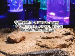 -南昌海洋公园