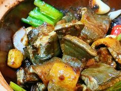 -天宝食坊·啫啫煲大排档(西华路店)