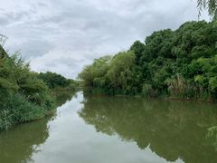 -梁鸿国家湿地公园