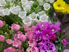 -双季花艺园艺市场(浦东店)