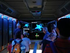 -奥兰多迪士尼动物王国乐园