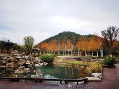 -岳麓山风景名胜区