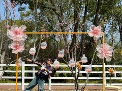 -金鸡湖桃花岛
