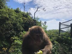 -峨眉山风景名胜区