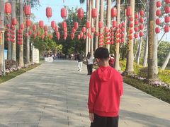 -星湖旅游景区七星岩