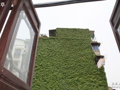 后窗外-四季美汤包(户部巷店)