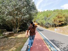 -南京市无想山景区